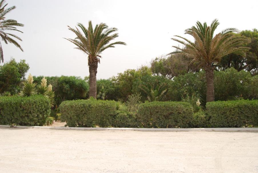 Hotel El Andalous Soliman 외부 사진